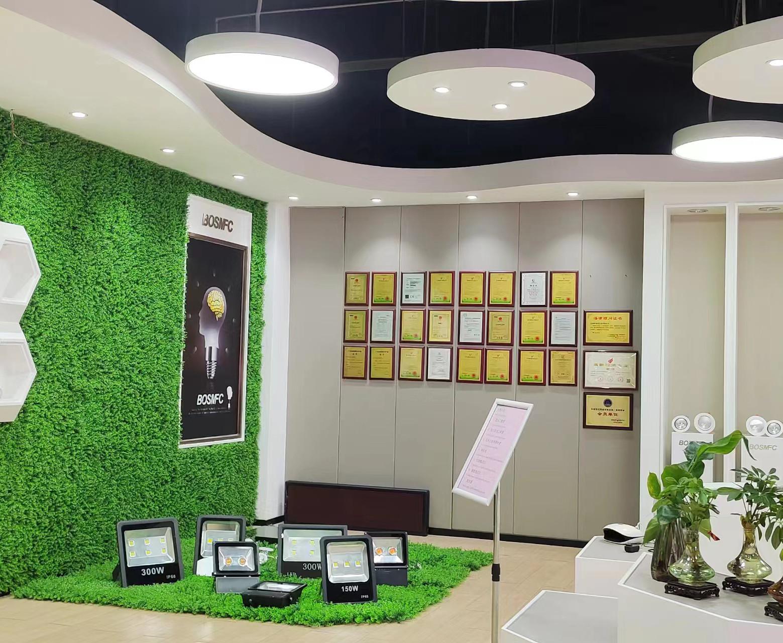 China Dongguan Lanjin Optoelectronics Co., Ltd. company profile