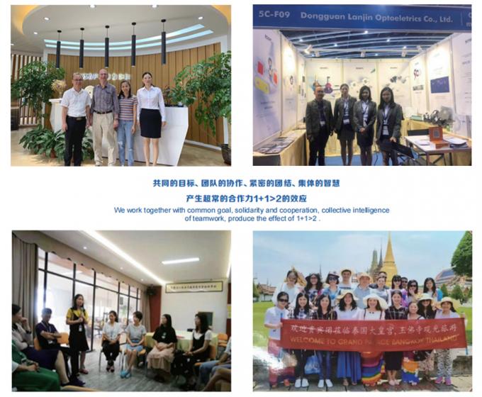 China Dongguan Lanjin Optoelectronics Co., Ltd. company profile